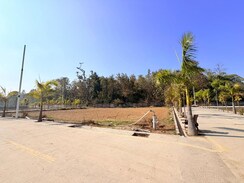 Plot For Sale in Biharigarh