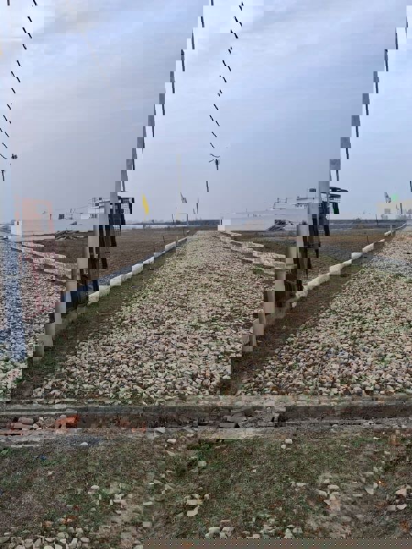 Plot Area in  Plot at Gosainganj – for Sale