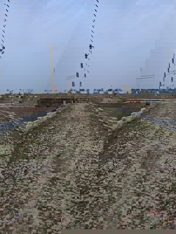 Plot Area in  Plot at Gosainganj – for Sale