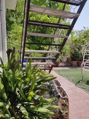 Studio Apartment – Exterior View View at Green Park - for Rent