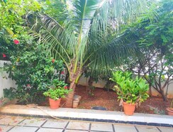 Land For Sale in Mokila