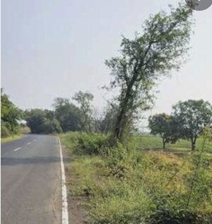  Land For Sale in Dumas