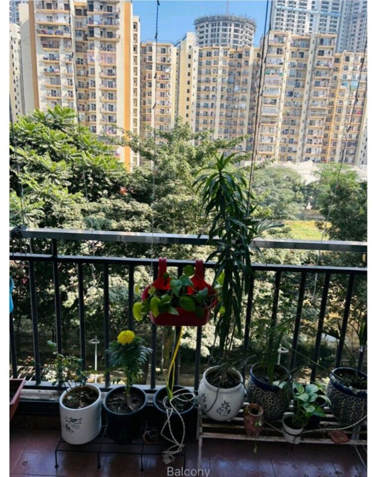 Exterior View, panchsheel-pratistha 3 Bedroom 2050 Sq.Ft. Apartment In Sector 75 Noida 10127603