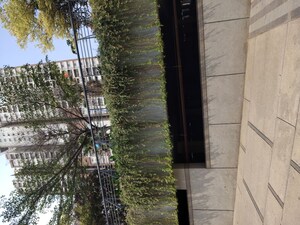 2 BHK Apartment For Rent in My Home Avatar, Gachibowli