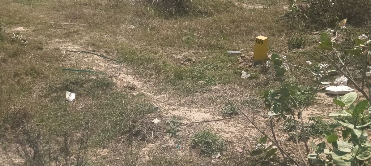 Plot For Sale in Wave City