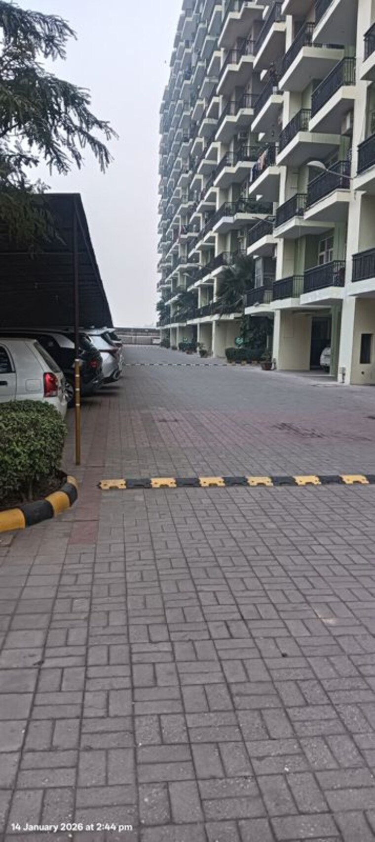 Balcony, sushma-green-vista 2.5 Bedroom 1325 Sq.Ft. Apartment In Ghazipur Zirakpur 10144347