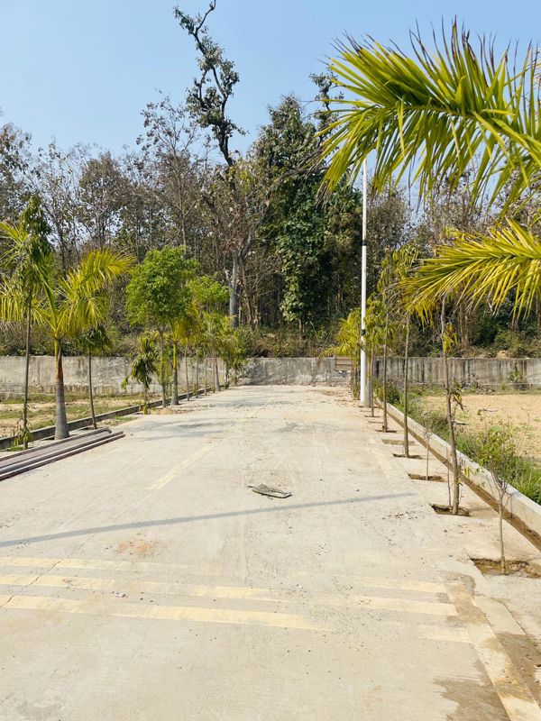 Plot For Sale in Biharigarh