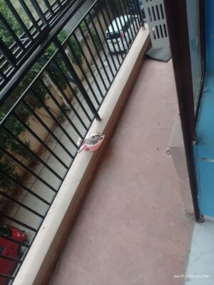 Balcony in 1 BHK Apartment at Omaxe Srishti And Sanskriti, Gomti Nagar – for Rent