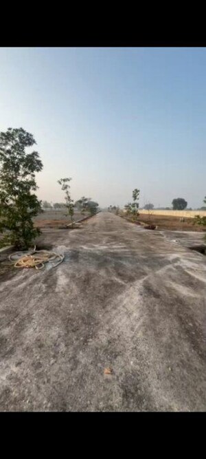 Plot Area in  Plot at Tappal – for Sale