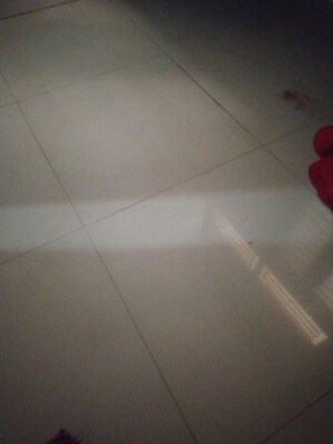 2 BHK Apartment For Rent in Panchsheel Greens, Sector 16 Greater Noida