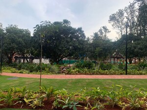 Plot Area in 3 BHK Apartment at Sobha HRC Pristine, Jakkuru – for Rent