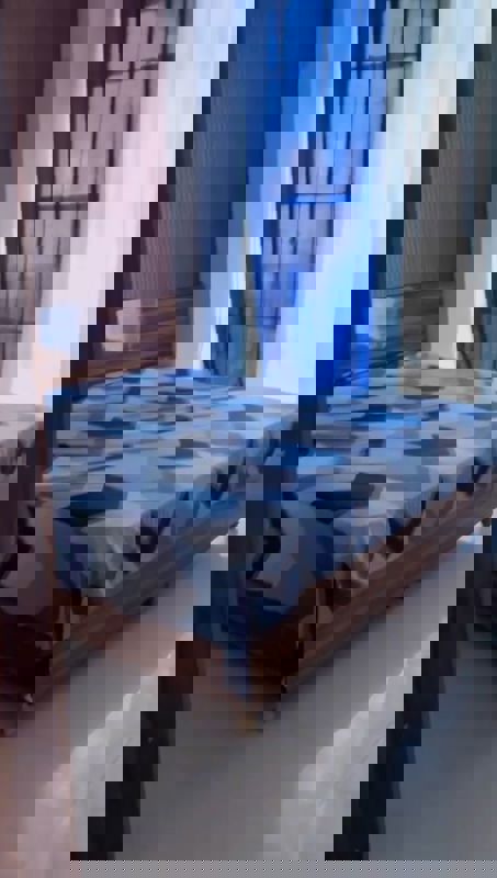 2 BHK + Study Room 498 Sq.Ft. Apartment in Signature Global Synera