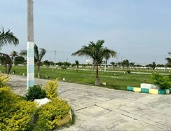 Plot For Sale in Jigani