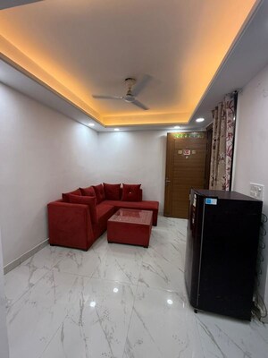 Living Room in 1 BHK Apartment at Saket – for Rent