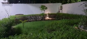  Plot For Sale in Alpha 1 Greater Noida