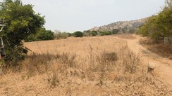 Plot For Sale in South City 1