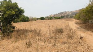  Plot For Sale in South City 1