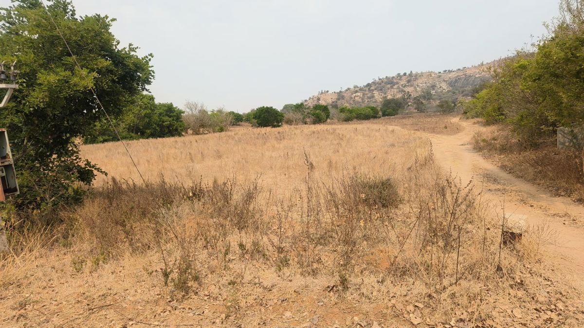 Plot For Sale in South City 1