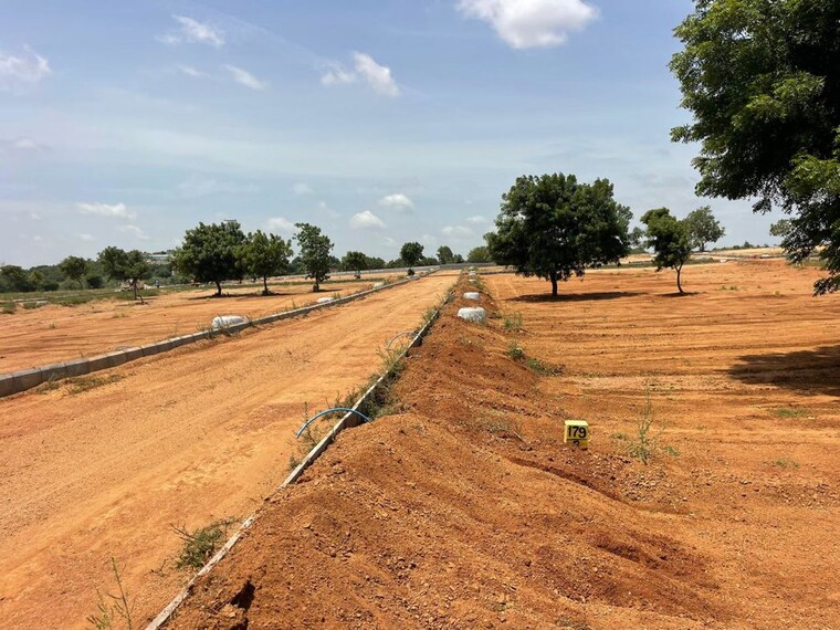 undefined, shankarpalli  167 Sq.Yd. Plot In Shankarpalli Hyderabad 10145019