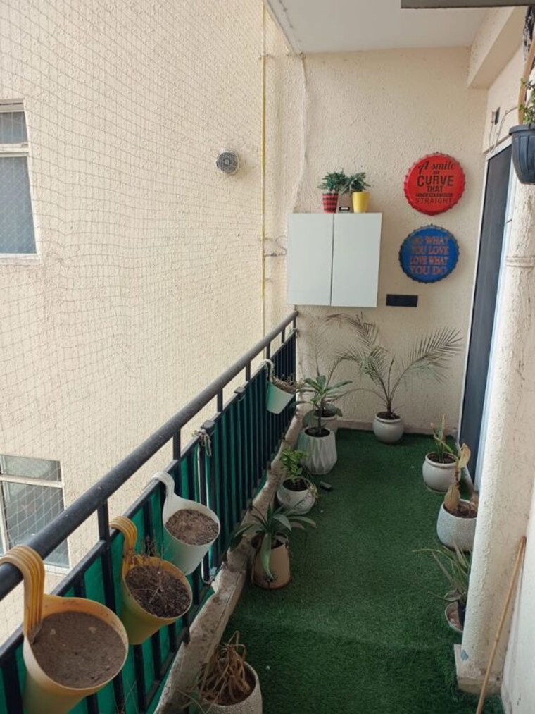 Balcony, paramount-floraville 2.5 Bedroom 1240 Sq.Ft. Apartment In Sector 137 Noida 10145042