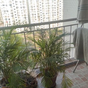 Balcony in 3.5 BHK Apartment at Sector 33 – for Rent