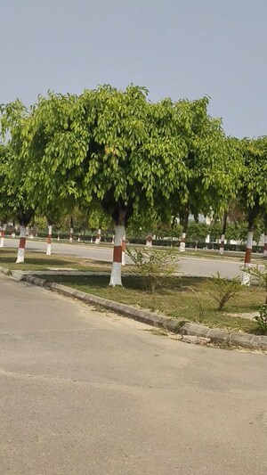 Plot Area in  Plot at DLF Garden City, Mohanlalganj – for Sale