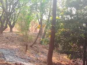  Plot – Garden View at Old Panvel - for Sale