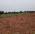 2 Acre Land in Shamirpet