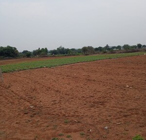  Land For Sale in Shamirpet