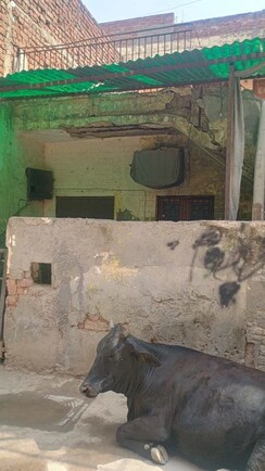 1.5 BHK + Pooja Room Independent House For Sale in Sector 7
