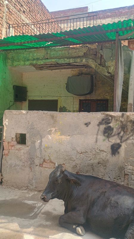1.5 BHK + Pooja Room Independent House For Sale in Sector 7