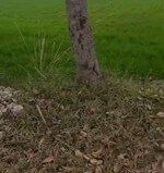 10 Acre Land in Garhmukteshwar