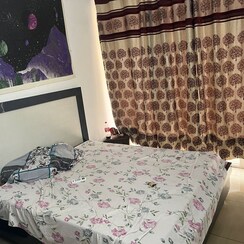 1 BHK Apartment For Rent in AVL 36 Gurgaon