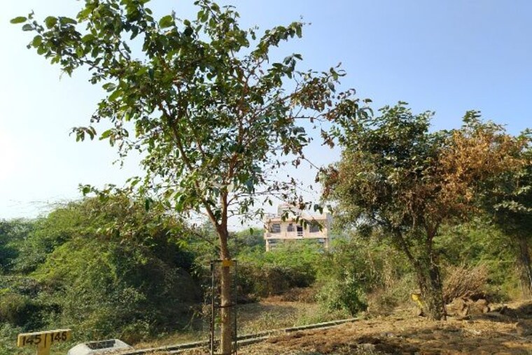Garden, theta ii greater noida  638 Sq.Ft. Plot In Theta Ii Greater Noida Greater Noida 10147067
