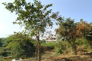Plot Area in  Plot at Theta Ii Greater Noida – for Sale
