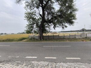 Plot Area in  Land at Pataudi – for Sale