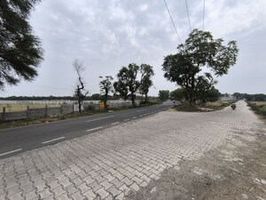  Land For Sale in Pataudi