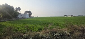 Plot Area in  Plot at Sector 80 – for Sale