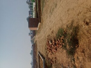  Plot – Exterior View View at Kulesara - for Sale