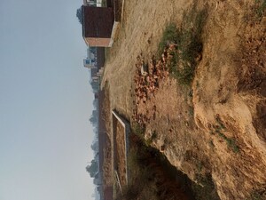  Plot – Exterior View View at Kulesara - for Sale