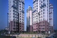 3 BHK + Servant Room Apartment For Sale in Unitech Palms