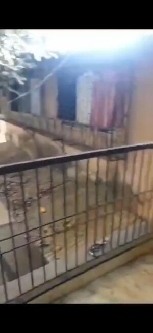 Balcony in 2 BHK Villa at New Mahada Colony, Goregaon East – for Rent