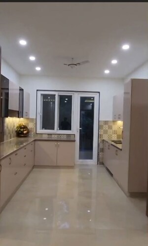Living Room in 3 BHK Builder Floor at Naraina – for Sale