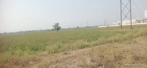 Plot Area in  Industrial Plot at Harni – for Sale