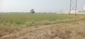 Plot Area in  Industrial Plot at Harni – for Sale