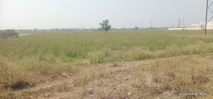 Plot Area in  Industrial Plot at Harni – for Sale
