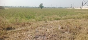  Industrial Plot For Sale in Harni