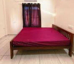  Pg For Rent in Gomti Nagar