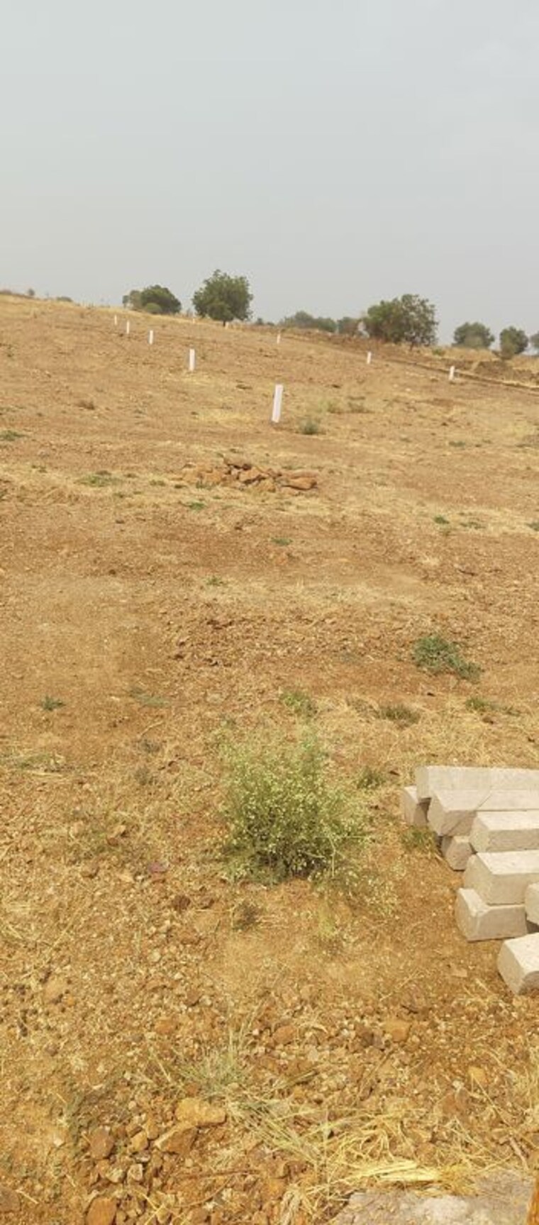 undefined, sangareddy  150 Sq.Yd. Plot In Sangareddy Hyderabad 10149470