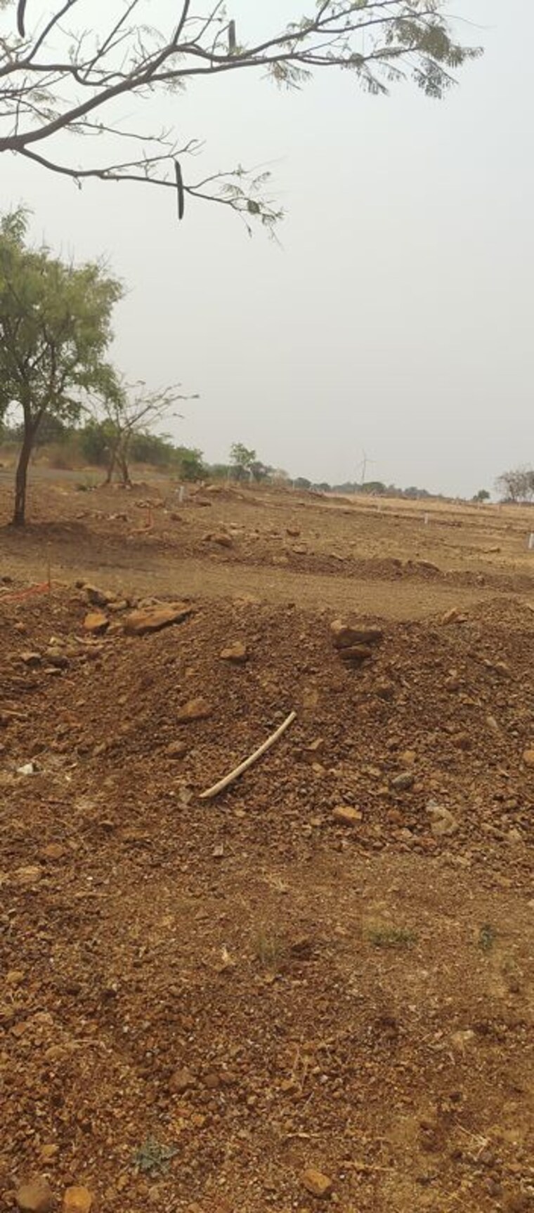 undefined, sangareddy  150 Sq.Yd. Plot In Sangareddy Hyderabad 10149470